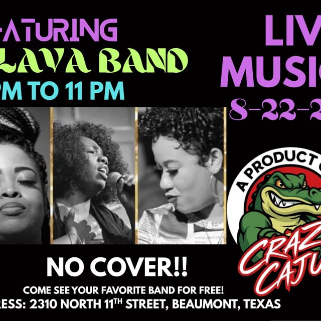 Flava Band